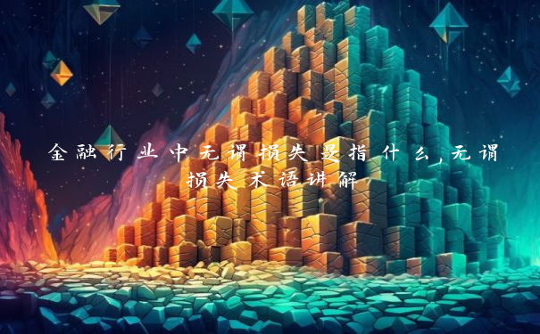 金融行业中无谓损失是指什么,无谓损失术语讲解