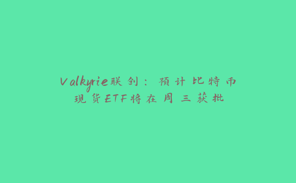 Valkyrie联创：预计比特币现货ETF将在周三获批