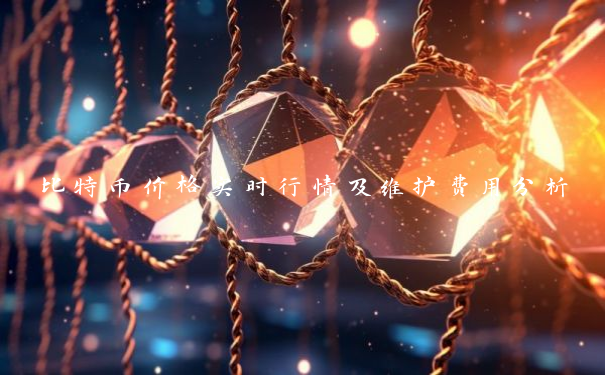比特币价格实时行情及维护费用分析