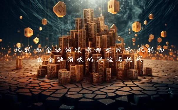 比特币金融领域有哪些风险,比特币在金融领域的风险与挑战