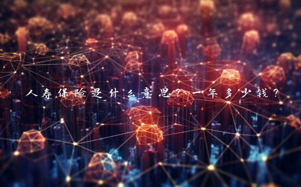 人寿保险是什么意思？一年多少钱？