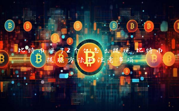 比特币赚了2个亿怎么提现,比特币提现方法和注意事项