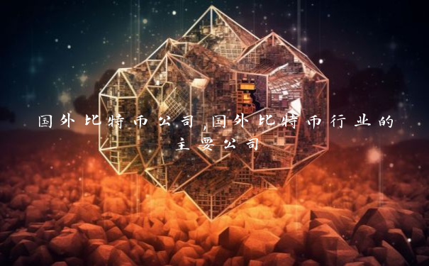 国外比特币公司,国外比特币行业的主要公司