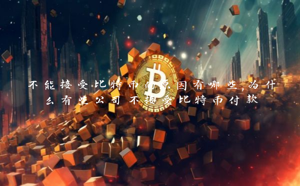 不能接受比特币的原因有哪些,为什么有些公司不接受比特币付款