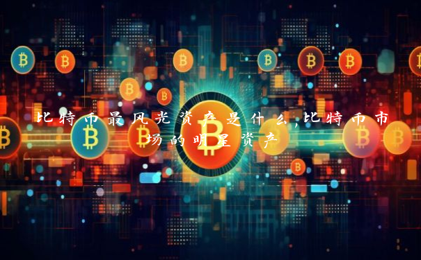 比特币最风光资产是什么,比特币市场的明星资产