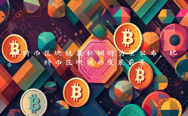比特币区块链最新调研方案公布，比特币区块链的发展前景