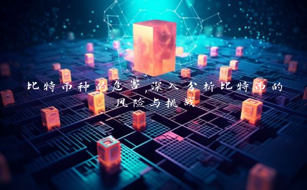 比特币种的危害,深入分析比特币的风险与挑战