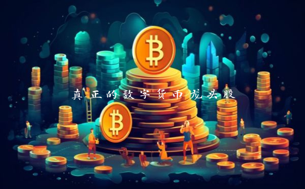 真正的数字货币龙头股